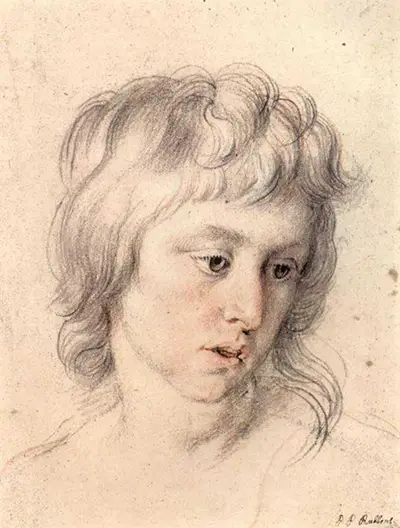 Portrait of a Boy Peter Paul Rubens
